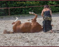 1-13JUIN 1060